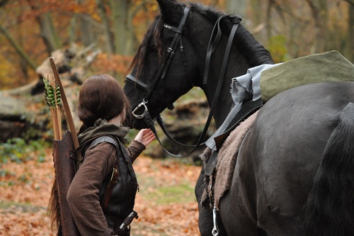 Elgarain and horse